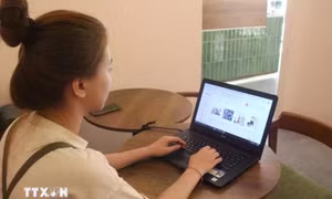 Kinh doanh online không kê khai thuế sẽ bị xử lý nghiêm