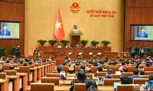 Bộ Chính trị ban hành Nghị quyết về đổi mới công tác xây dựng và thi hành pháp luật