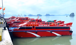 Đầu tư đội tàu phục vụ du lịch biển đảo