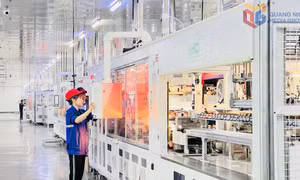 Bình dân học vụ số trong CNVCLĐ Quảng Ninh