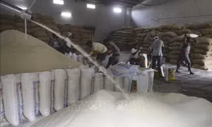 Nhiều đổi thay trên thị trường gạo thế giới