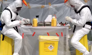 Nguyên nhân gây gia tăng virus truyền bệnh từ động vật sang người