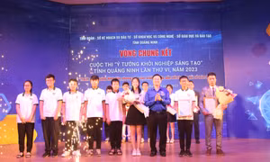 Xây dựng thanh niên Quảng Ninh phát triển toàn diện