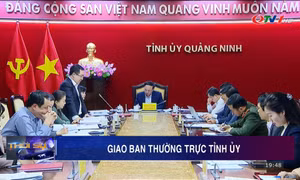 Giao ban Thường trực Tỉnh ủy
