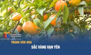 Sắc vàng Vạn Yên