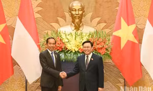 Việt Nam và Indonesia cùng hướng tới nâng quan hệ Đối tác chiến lược lên tầm mức mới