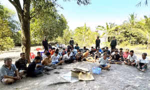 Phá trường gà quy mô lớn, tạm giữ hơn 30 đối tượng