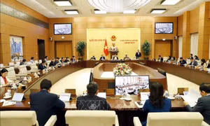 Phiên họp thứ 29 UBTV Quốc hội: Dự kiến xem xét 4 nội dung tại Kỳ họp bất thường lần thứ 5