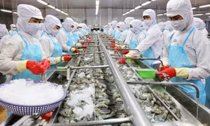 Ngành tôm hướng tới mục tiêu 4 tỷ USD