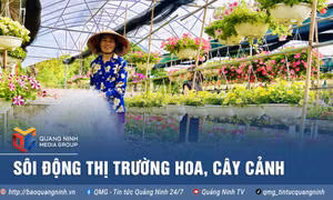 Sôi động thị trường hoa, cây cảnh