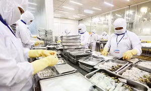 Nâng cao năng lực thực thi các quy định SPS