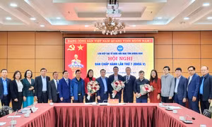 Liên hiệp các tổ chức hữu nghị tỉnh triển khai chương trình công tác năm 2024