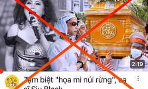 Nghệ sĩ Việt bức xúc vì tin đồn thất thiệt