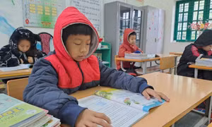 Tăng cường bảo vệ sức khỏe người dân trước rét hại