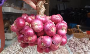 Giá hành tỏi tăng mạnh dịp Tết Dương lịch