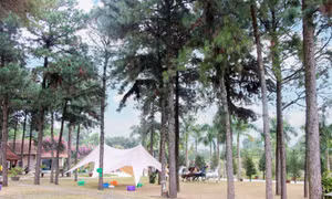Bái Tử Long Pine Hill - Không gian kết nối và trải nghiệm 
