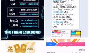 Cả ngàn người sập bẫy app đa cấp VN-Temu