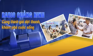 Radio Quảng Ninh - Cùng thính giả dệt thanh, khám phá cuộc sống