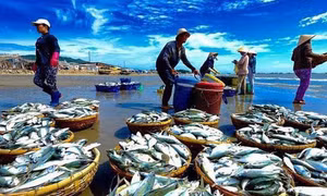 Chương trình quốc gia bảo vệ và phát triển nguồn lợi thủy sản đến năm 2030
