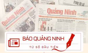 Báo Quảng Ninh từ số đầu tiên