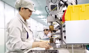 Việt Nam - Ngôi nhà thứ hai của “đại bàng”
