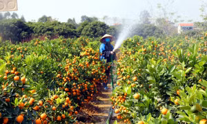  Những miền quê giàu bản sắc ở Đông Triều