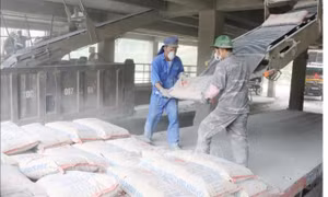 Vật liệu xây dựng tìm cách thoát khó