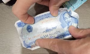 4 thanh niên thuê khách sạn tổ chức sử dụng trái phép chất ma túy