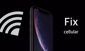 Một số iPhone chạy iOS 17.1.2 gặp lỗi kết nối mạng di động
