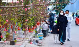 Chuyên gia nhận định tình hình mưa rét dịp Tết Nguyên đán Giáp Thìn 2024