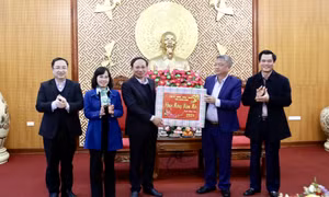 Tỉnh Quảng Ninh thăm, chúc Tết Bộ Tư lệnh Quân khu 3 và Quân chủng Hải quân