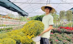 Rộn ràng làng hoa Tết
