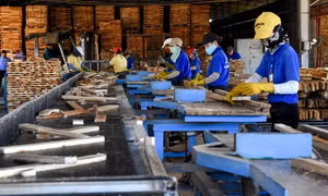 Mạnh mẽ hơn trong cải cách môi trường kinh doanh