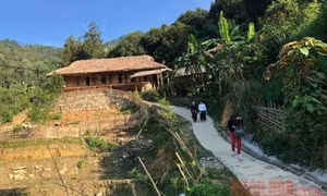 Tăng cường quản lý loại hình du lịch homestay
