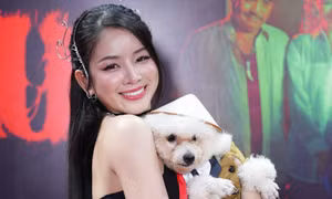 Phim Việt cuối năm tưởng bèo mà trăm tỉ