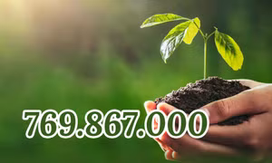 769.867.000 - là số cây xanh đã được trồng trên toàn quốc trong Đề án “Trồng một tỷ cây xanh giai đoạn 2021-2025”
