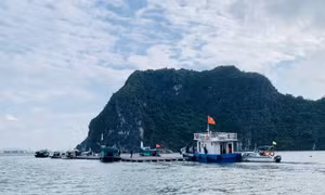 TP Hạ Long: 35/42 hộ NTTS trái phép trên Vịnh đã hoàn thành việc di dời, tháo dỡ