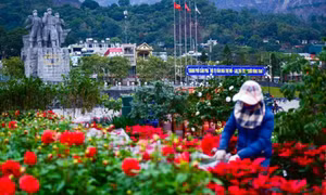 Thành phố mỏ rộn ràng đón xuân