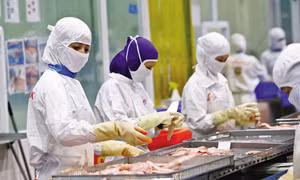 Cải thiện môi trường kinh doanh: Tìm lại đà tăng tốc cho đầu tư tư nhân