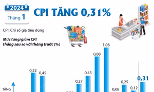 CPI tháng 1/2024 tăng 0,31%
