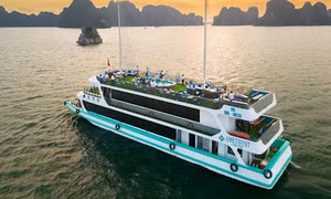VDS Travel - Địa chỉ tin cậy cho tour tham quan Vịnh Hạ Long