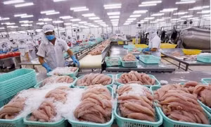Biển Đỏ dậy sóng, doanh nghiệp Việt xoay xở thế nào?