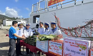 Thăm, chúc Tết cán bộ, chiến sĩ, nhân dân huyện đảo Cồn Cỏ và Lý Sơn
