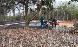 Bình Phước: Làm rõ vụ nghi cháy vườn rẫy điều khiến một người tử vong