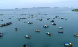 Cô Tô - một vùng đảo xanh