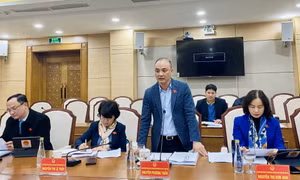 Khảo sát phục vụ thẩm tra dự án Luật sửa đổi, bổ sung một số điều của Luật Tiêu chuẩn và Quy chuẩn kỹ thuật