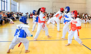 Lực đẩy cho phong trào taekwondo Quảng Ninh
