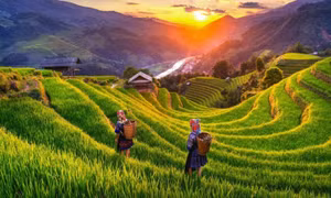 Việt Nam là quốc gia an toàn nhất châu Á