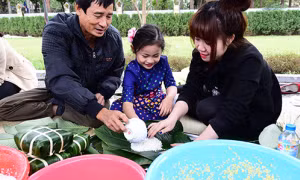 Ý nghĩa Tết cổ truyền của người Việt