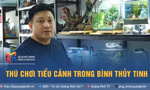 Thú chơi tiểu cảnh trong bình thủy tinh